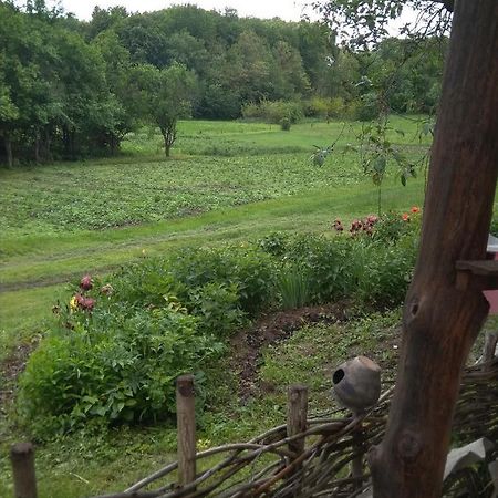 Maliovnytsya Guest House Dybintsy ภายนอก รูปภาพ