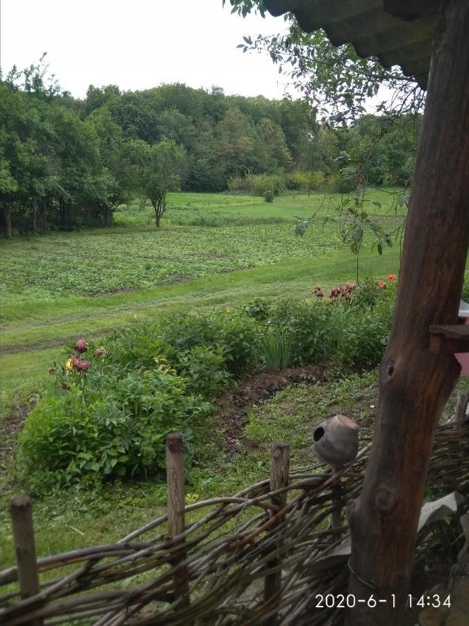 Maliovnytsya Guest House Dybintsy ภายนอก รูปภาพ